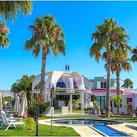 Pacla أفولا